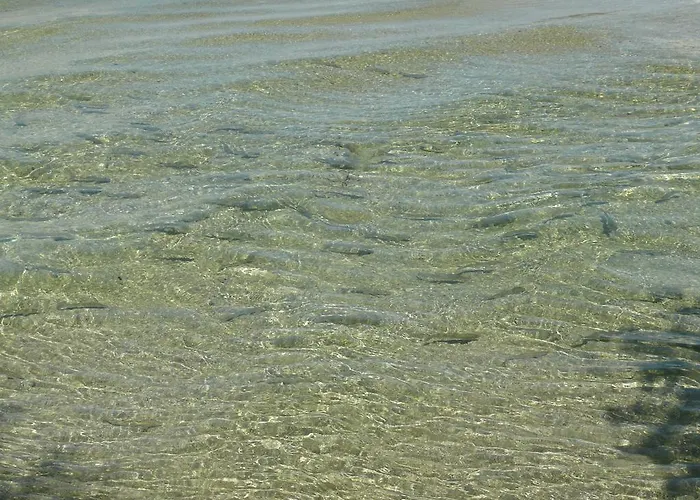 Casa de hóspedes Gasthaus Zur Nixe Steinbach am Attersee