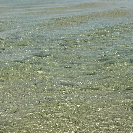 بيت ضيافة Gasthaus Zur Nixe شتاينباخ آم أترزي