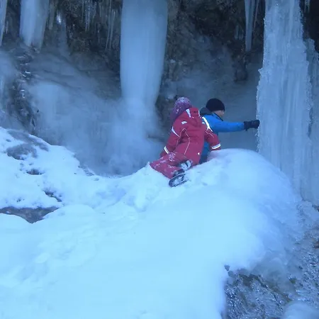 招待所 Gasthaus Zur Nixe